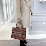 Dior Burgundy Oblique Canvas Small Book Tote Bag 5
