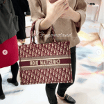 Dior Burgundy Oblique Canvas Small Book Tote Bag 6