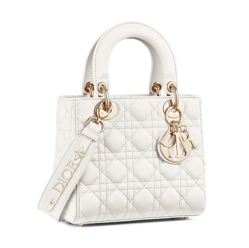 Small Lady Dior My ABCDior Bag Beige and Black Plan de Paris Printed  Calfskin | DIOR