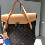 Louis Vuitton Monogram Canvas Top Handle Bag