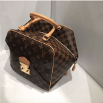 Louis Vuitton Monogram Canvas/Damier Ebene Square Bag