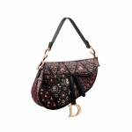 Dior Multicolor Embroidered Saddle Bag