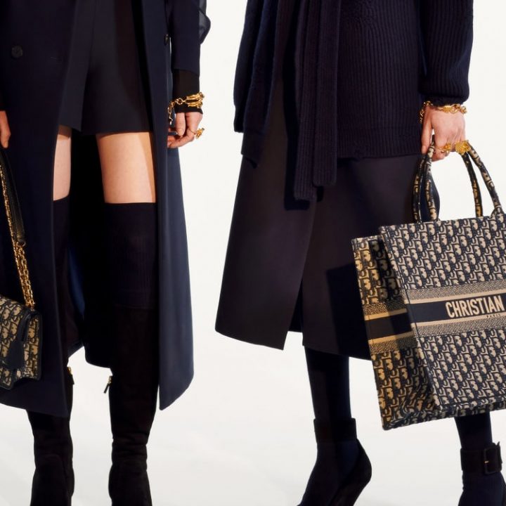Preview of Louis Vuitton Pre-Fall 2019 Bag Collection | Spotted Fashion