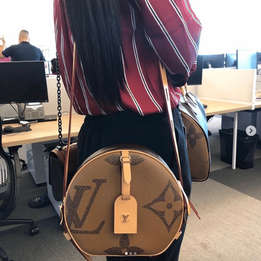 Preview of Louis Vuitton Pre-Fall 2019 Bag Collection - Spotted