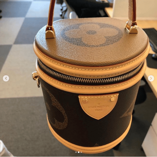 Preview of Louis Vuitton Pre-Fall 2019 Bag Collection - Spotted