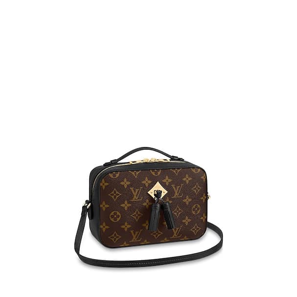 LOUIS VUITTON Shoulder Bag M43555 Saintonge Monogram canvas Brown Brow –