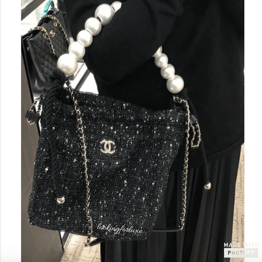 Chanel Small Hobo Bag (With Pearl Chain)