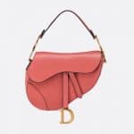 Dior Sienna Calfskin Saddle Bag