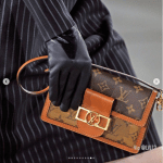 Louis Vuitton Monogram Canvas:Reverse Dauphine Bag