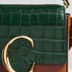 Chloe 'C' bag Tricolor Dark Green Bag