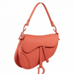 Dior Ultra Matte Orange Saddle Bag