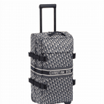 Dior Oblique Travel Luggage