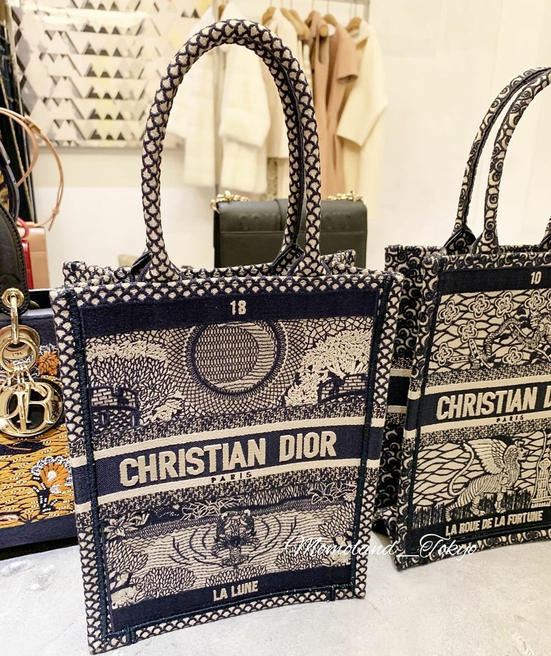 Dior Vertical Book Tote Bag for Cruise 2020 - Spotted Fashion