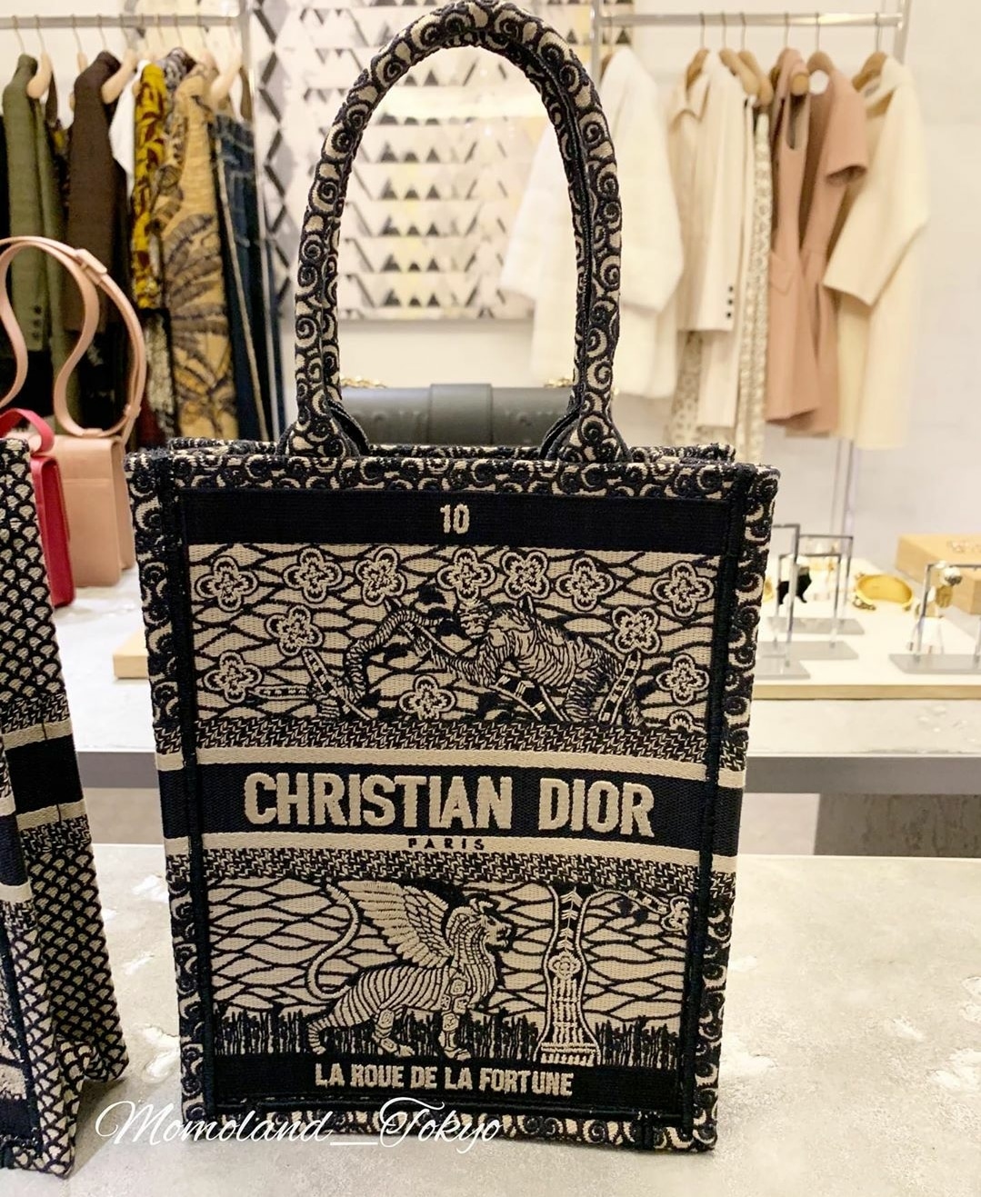 Dior Vertical Mini Book Tote - Cruise 2020