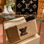 LOUIS VUITTON Monogram Teddy Bumbag 506319