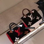 LOUIS VUITTON Monogram Teddy Bumbag 506319