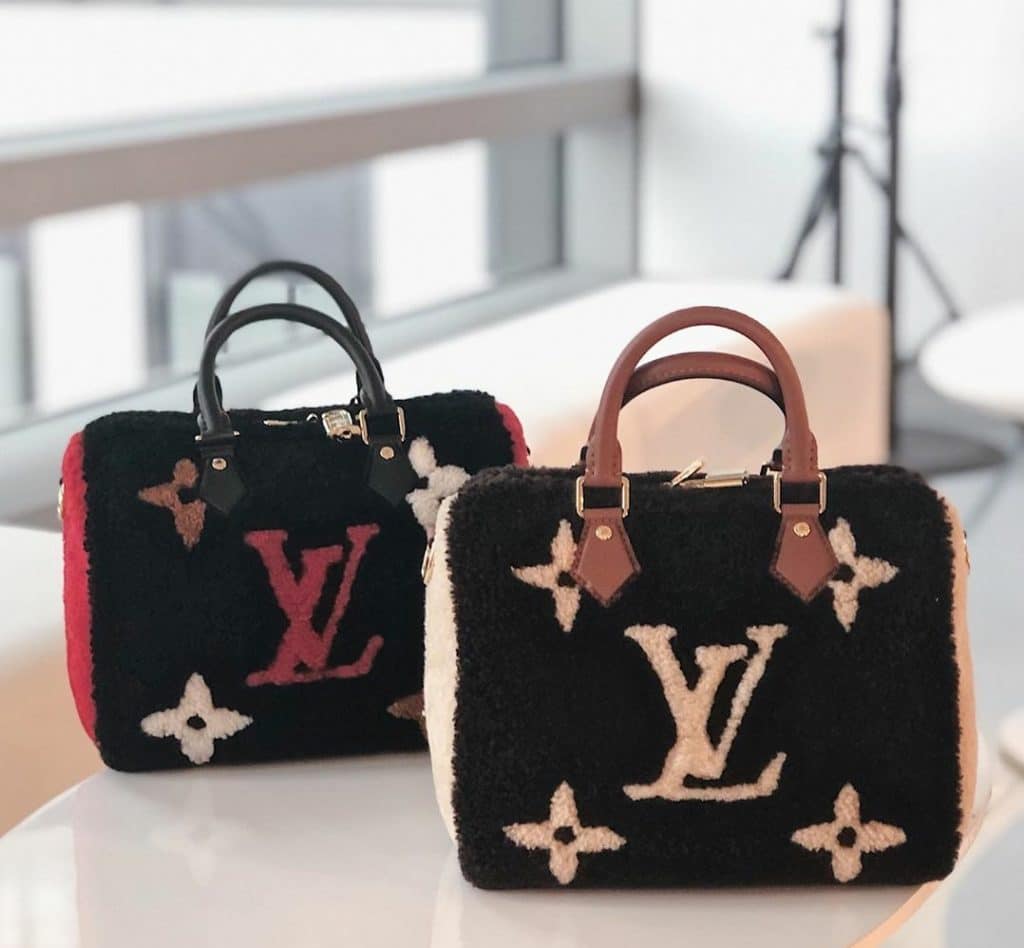 Louis Vuitton Teddy Speedy 25 Bag