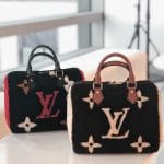 Louis Vuitton Limited Edition Giant Teddy Fleece Speedy