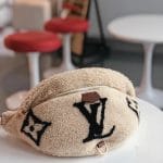 Louis Vuitton Teddy Bumbag