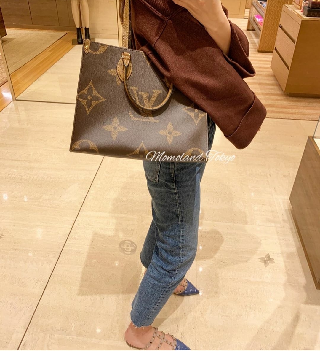 Louis Vuitton OntheGo Small Bag
