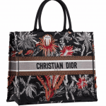 Dior Spring Summer 2020 Bag Preview