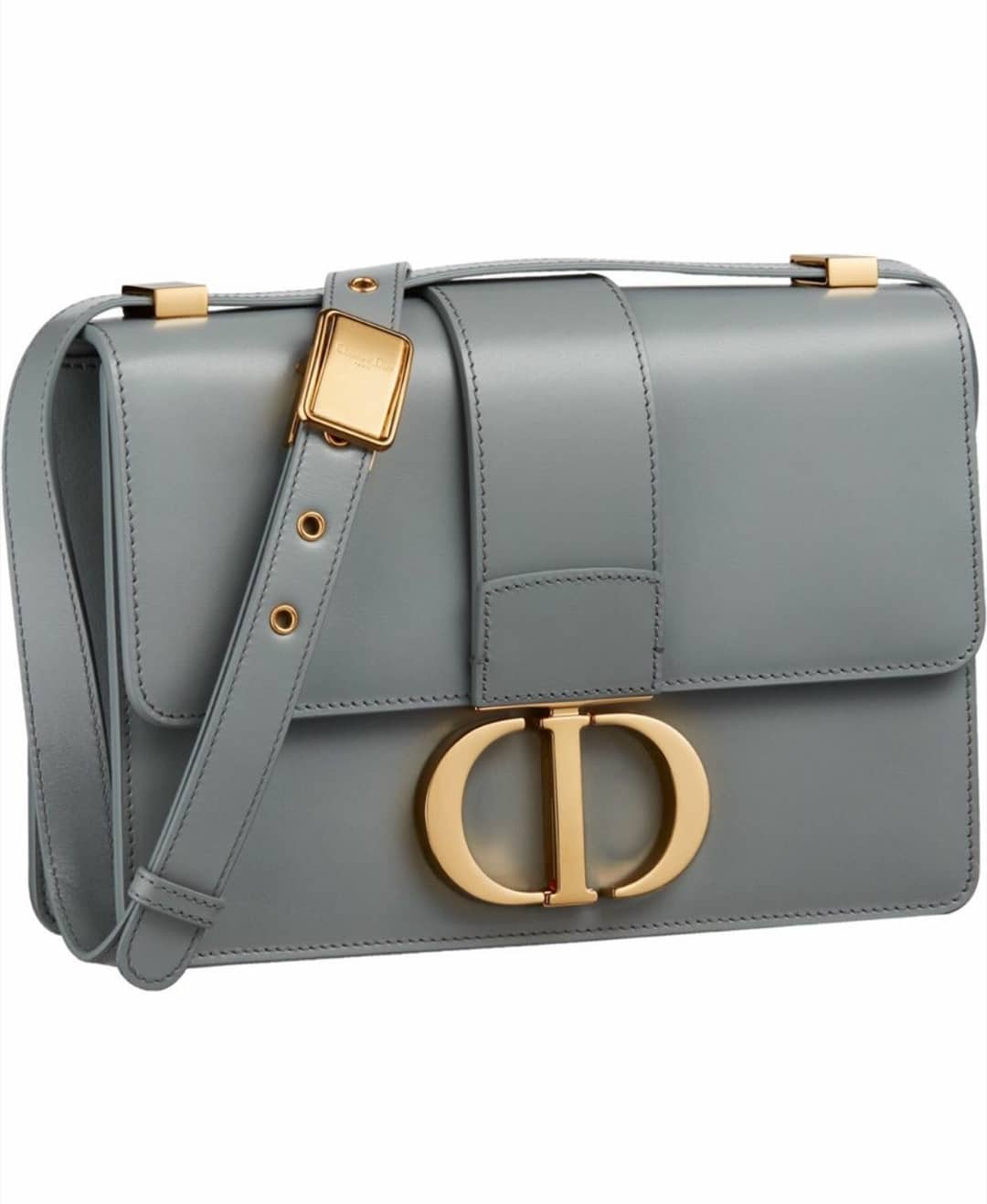 Dior Grey 30 Montaigne Bag