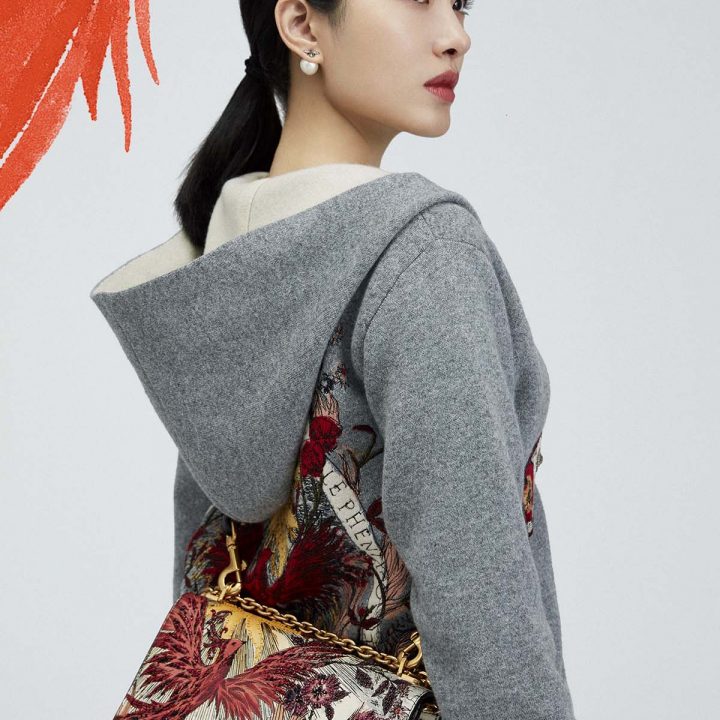 dior lunar new year pouch