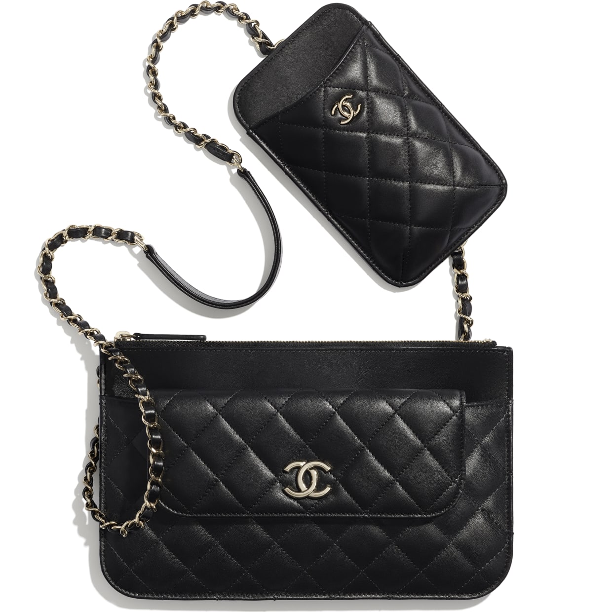 Chanel SS21 Small Leather Goods Collection