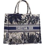 Dior Book Tote Bag - Prefall 2020