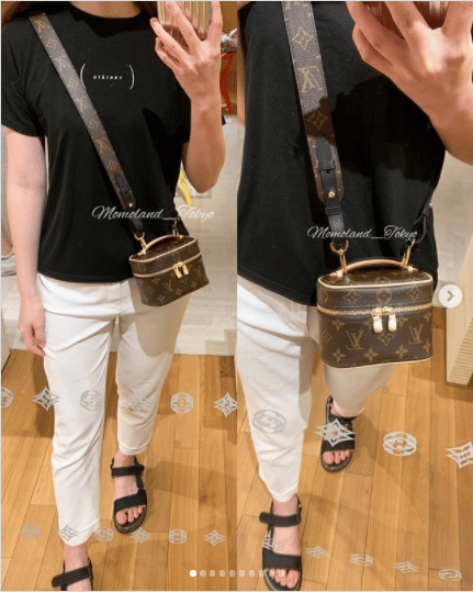 Louis Vuitton Nice Vanity Bag Reference Guide - Spotted Fashion