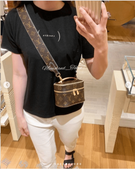 Louis Vuitton Nice Vanity Bag Reference Guide - Spotted Fashion