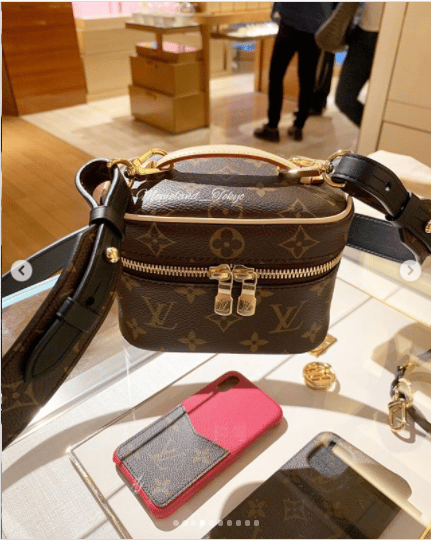 Louis Vuitton Nice Vanity Bag