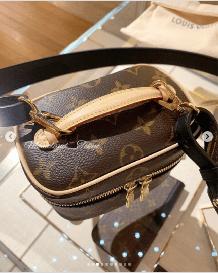 Louis Vuitton Nice Vanity Bag Reference Guide - Spotted Fashion