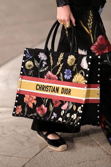 dior cruise bag