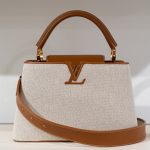 Louis Vuitton Beige Fabric Capucines Bag - Cruise 2021