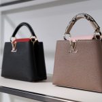 Louis Vuitton Black and Taupe Capucines Bags - Cruise 2021