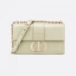 Dior Metallic Platinum 30 Montaigne Chain Bag