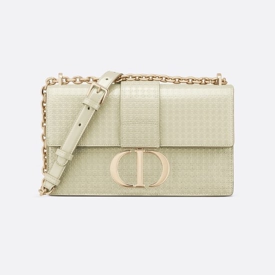 Dior Fall 2020 Bags Are Familiar - PurseBop