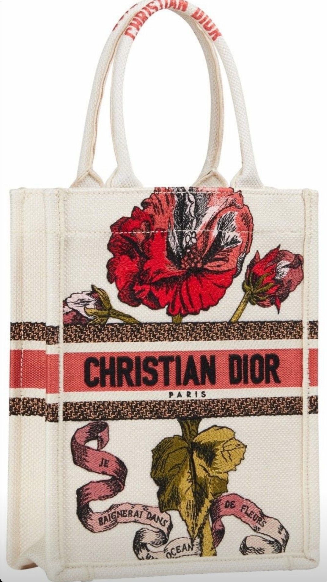 Dior Vertical Book Tote Bag for Cruise 2020 - Spotted Fashion