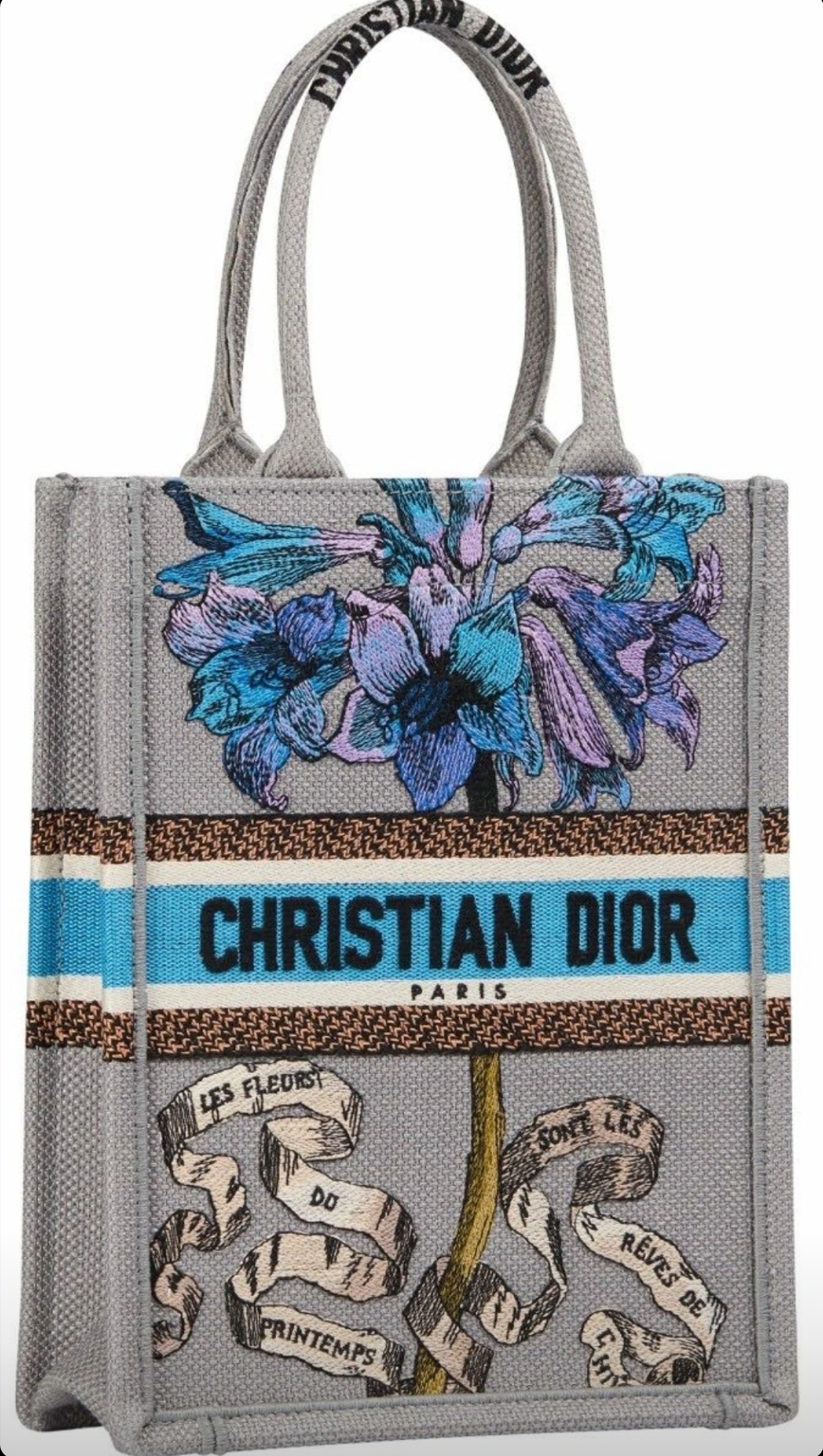 Dior Grey Vertical Book tote - Cruise 2021