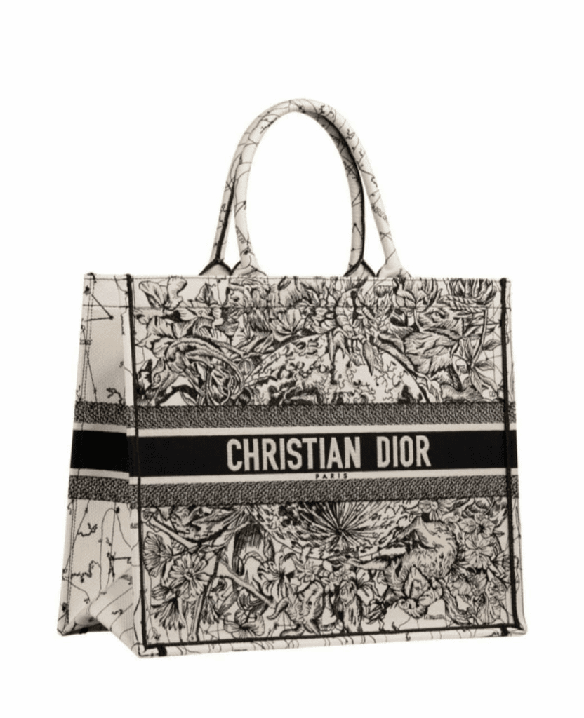 Dior Cruise 2021 Bag Collection featuring The New Dior Caro Bag ...