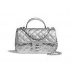 Chanel Silver Top Handle Bag - Spring 2021