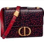 Dior 30 Montaigne Hearts Bag - Prefall 2021