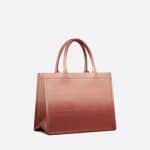 Dior Pink Gradient Small Book Tote