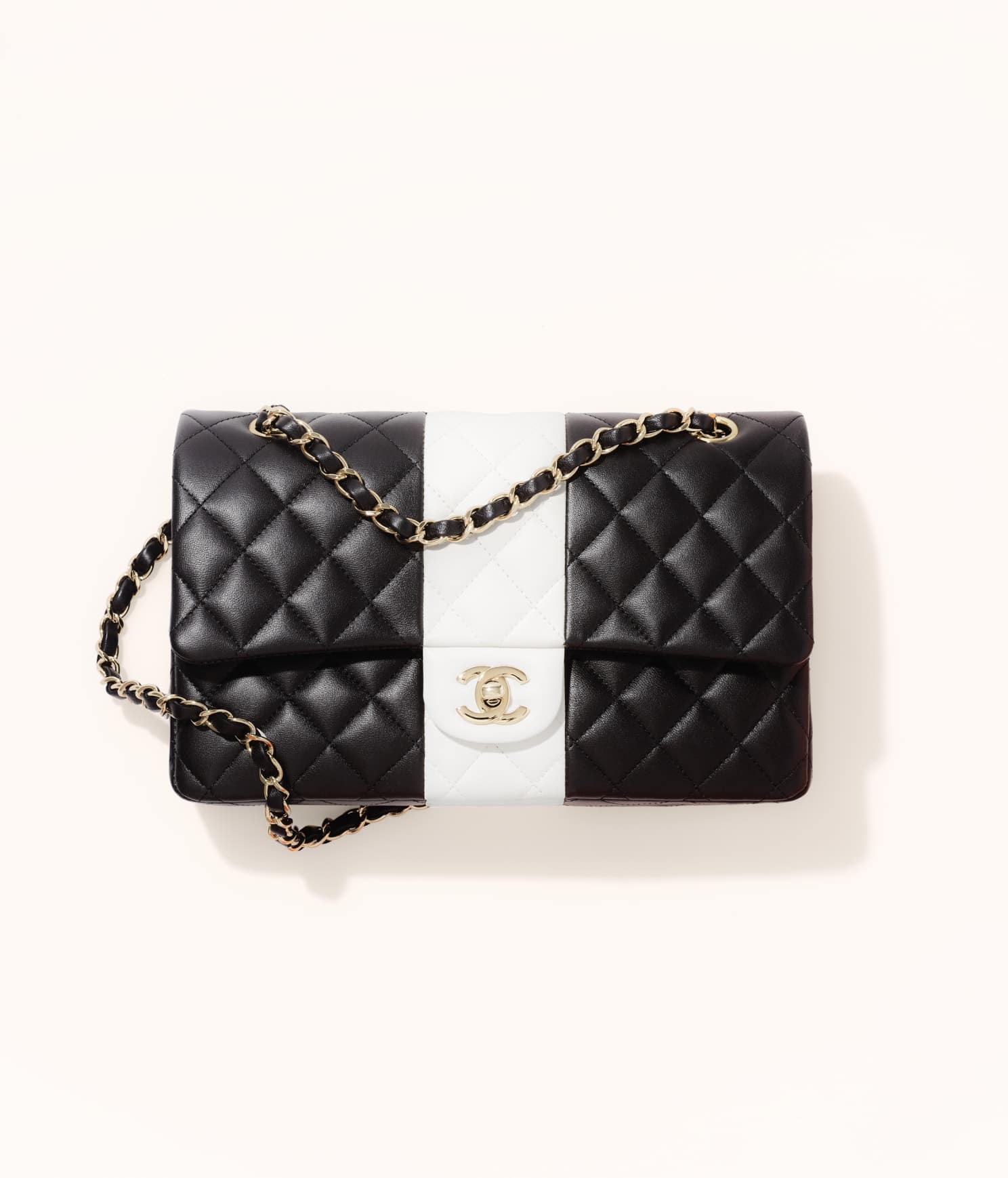 CHANEL CRUISE 2022/23 COLLECTION - CHANEL WALLET ON CHAIN 