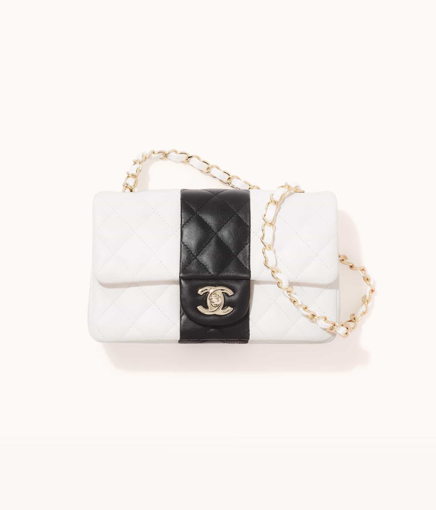 CHANEL 2022 Cruise Large flap bag (AS2976 B07258 94305, AS2976 B07258 10601)