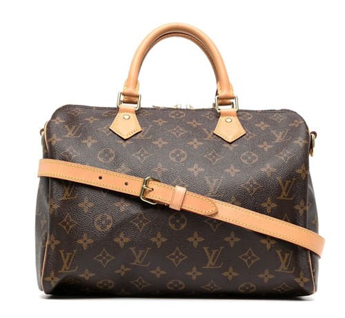 How Much Is A Louis Vuitton Bag?